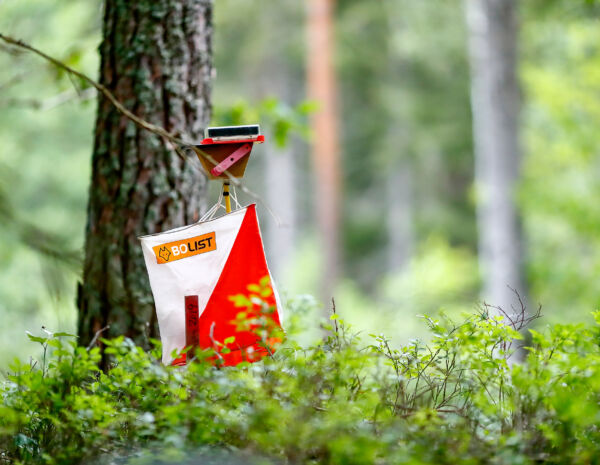 Orientering, O-ringen, etapp 2